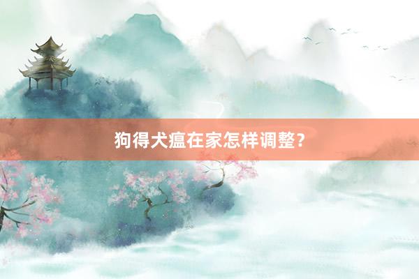 狗得犬瘟在家怎样调整？